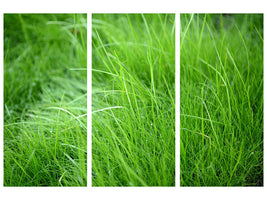 3-piece-canvas-print-blades-of-grass