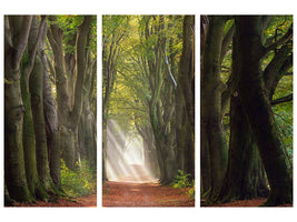 3-piece-canvas-print-a-glorious-day