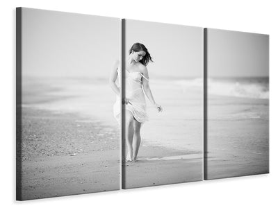3-piece-canvas-print-a-walk-on-the-beach-ii