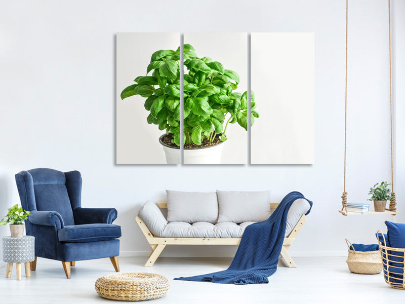3-piece-canvas-print-basil-in-the-pot