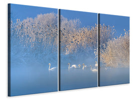 3-piece-canvas-print-blue-swan-lake