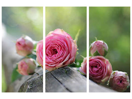 3-piece-canvas-print-bush-roses