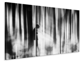 3-piece-canvas-print-caught-in-the-sorrow