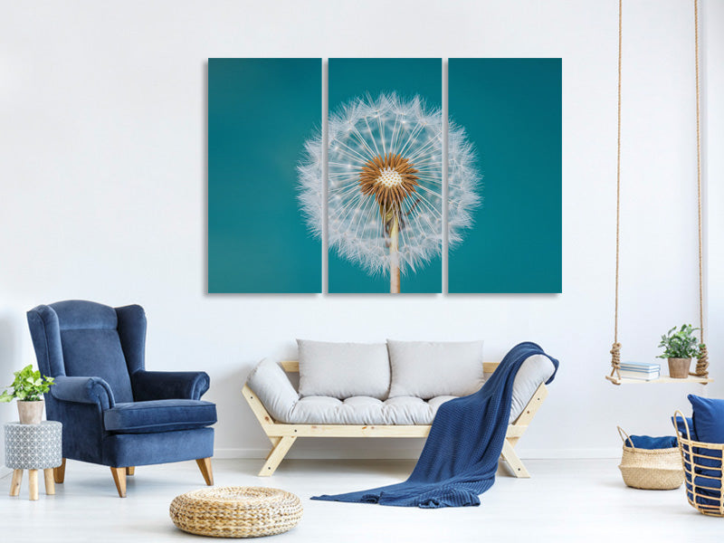 3-piece-canvas-print-dandelion-a