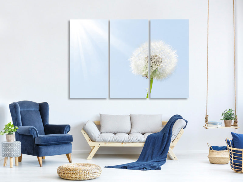 3-piece-canvas-print-dandelion-in-sunbeam