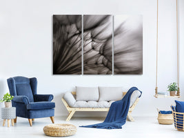 3-piece-canvas-print-dandelion-p