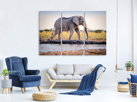 3-piece-canvas-print-elephant-in-the-nature