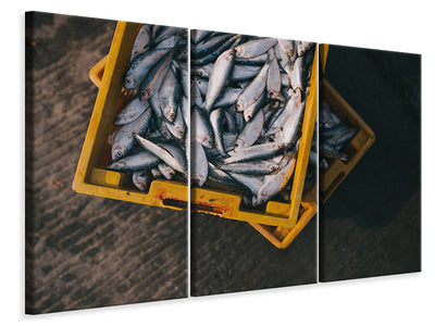 3-piece-canvas-print-fish-in-boxes