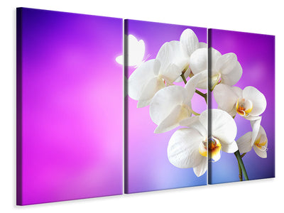 3-piece-canvas-print-flower-power-orchid