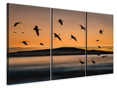 3-piece-canvas-print-fly-in-at-sunset