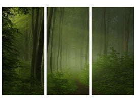 3-piece-canvas-print-forest-morning