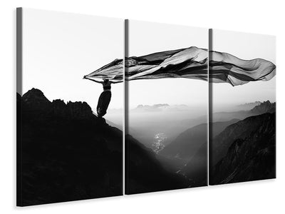 3-piece-canvas-print-free-as-the-wind