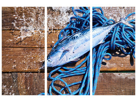 3-piece-canvas-print-freshly-caught-fish