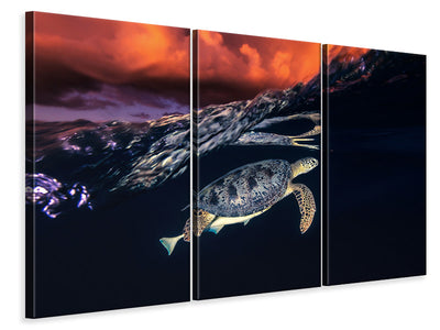 3-piece-canvas-print-green-turtle-and-sunset-sea-turtle