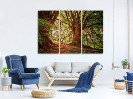 3-piece-canvas-print-in-the-dense-forest