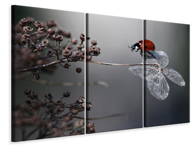 3-piece-canvas-print-ladybird-on-hydrangea