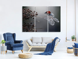 3-piece-canvas-print-ladybird-on-hydrangea