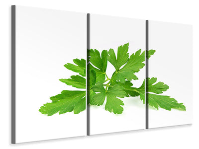 3-piece-canvas-print-leaves-of-parsley