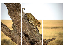 3-piece-canvas-print-leopard-serengheti-tanzania