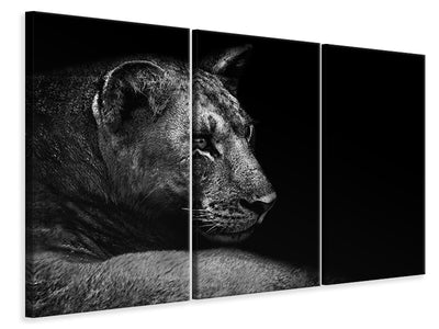 3-piece-canvas-print-lion