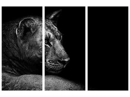 3-piece-canvas-print-lion