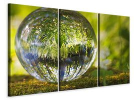 3-piece-canvas-print-nature-ball