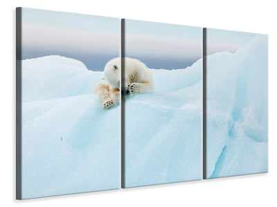3-piece-canvas-print-polar-bear-grooming