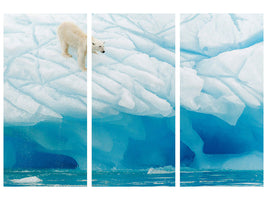 3-piece-canvas-print-polar-bear