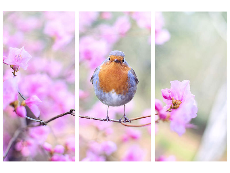 3-piece-canvas-print-spring-bird