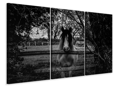 3-piece-canvas-print-the-horse-sw