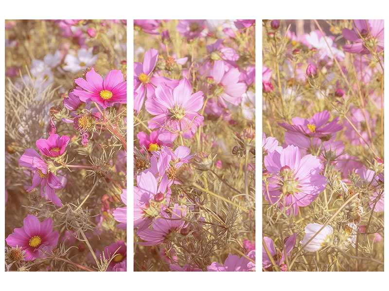 3-piece-canvas-print-the-jewelry-basket-cosmea