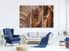 3-piece-canvas-print-the-look-of-the-elephant