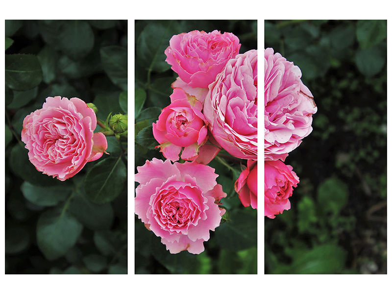 3-piece-canvas-print-the-wild-roses-in-pink