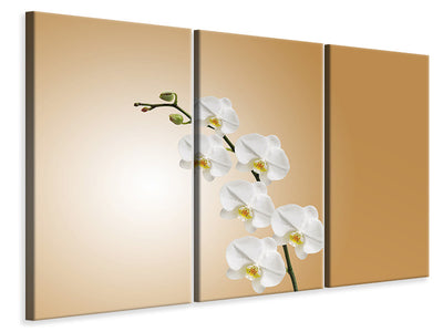 3-piece-canvas-print-white-orchids-xl