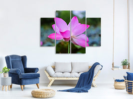 4-piece-canvas-print-beautiful-lotus