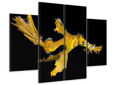 4-piece-canvas-print-delicate-ghost-pipefish