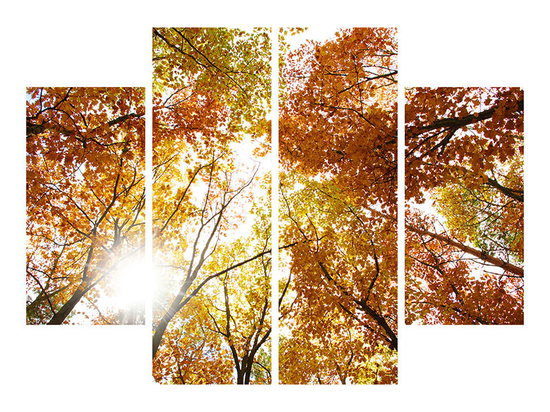 4-piece-canvas-print-enlightened-autumn-trees