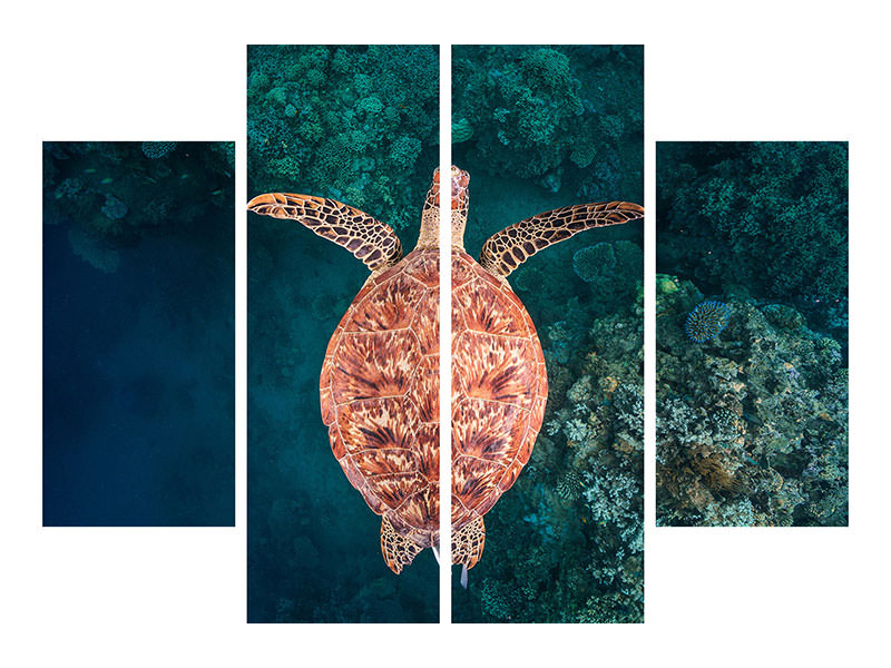 4-piece-canvas-print-flying-over-the-reef
