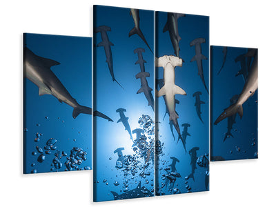 4-piece-canvas-print-hammerhead-shark