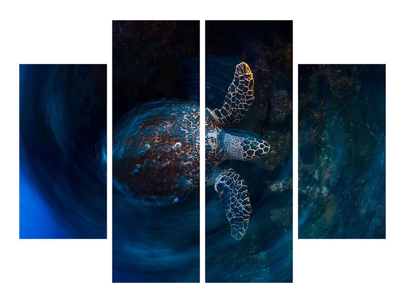 4-piece-canvas-print-hawksbill-sea-turtle
