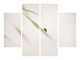 4-piece-canvas-print-ladybug