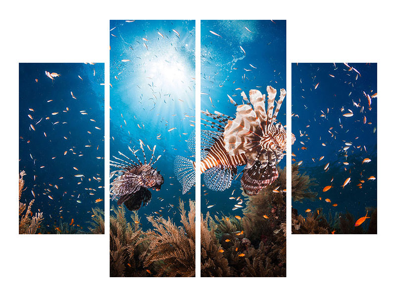 4-piece-canvas-print-lionfish-ii