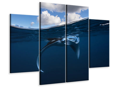 4-piece-canvas-print-little-manta-ray