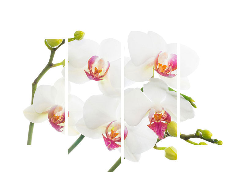 4-piece-canvas-print-orchids-love