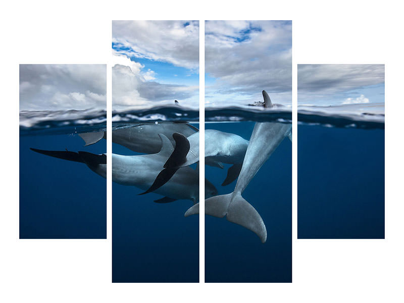 4-piece-canvas-print-pod-of-dolphin-at-the-surface