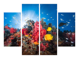 4-piece-canvas-print-reef-life