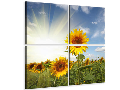 4-piece-canvas-print-sunflower-in-sunlight