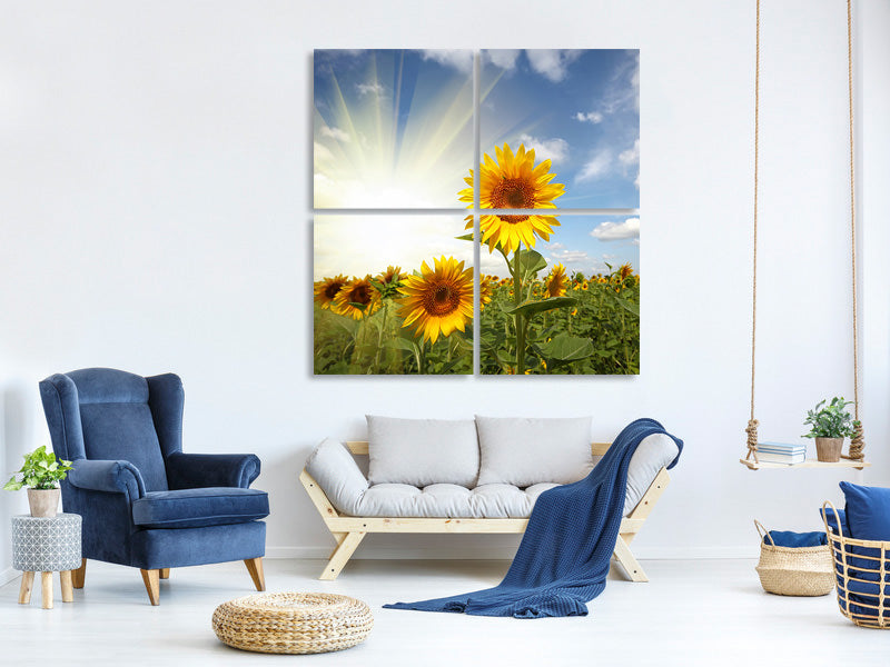 4-piece-canvas-print-sunflower-in-sunlight