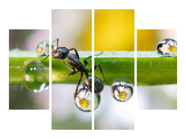 4-piece-canvas-print-the-ant-between-the-drops