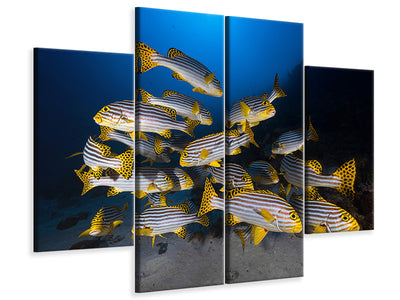 4-piece-canvas-print-underwater-photography-indian-ocean-sweetlips